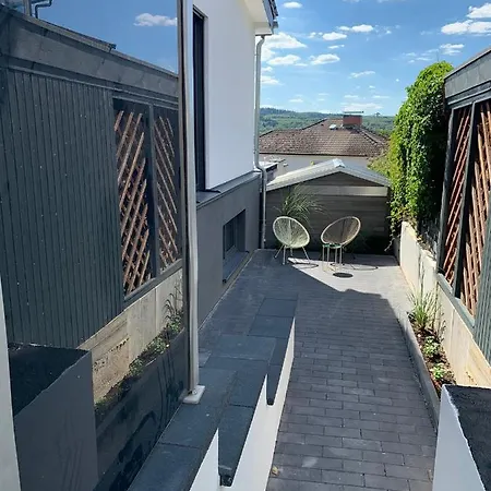 Apartment Schickes Mit Direkter Waldrandlage Geisenheim